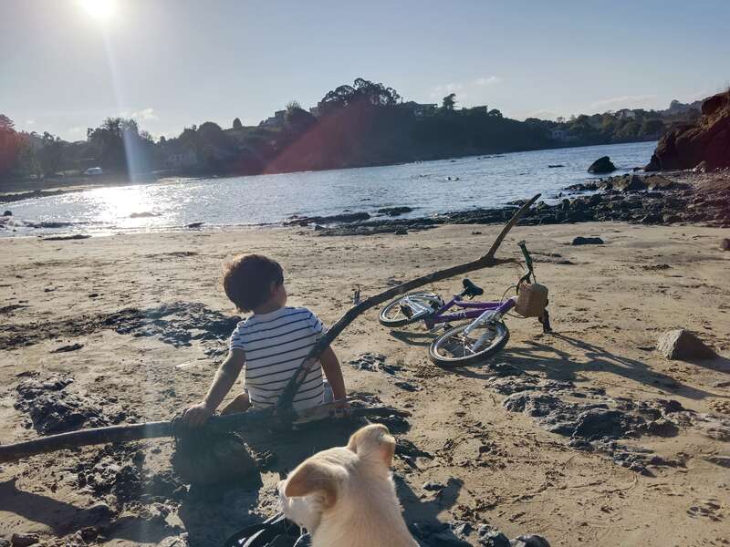 Ein kleines Kind und ein Hund sitzen an einem felsigen Strand, in der Nähe eines Fahrrads, und beobachten das glitzernde Wasser unter der hellen Nachmittagssonne, während sie friedlich die Natur genießen.