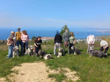 Eine Gruppe von Menschen und mehrere Schäferhunde versammeln sich auf einem grasbewachsenen Hügel und genießen einen sonnigen Tag mit Blick auf eine wunderschöne Küstenstadt und das Meer im Hintergrund.