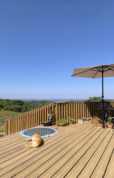 Um cachorro dourado dorme em um deck de madeira sob um céu azul claro. Vasos de plantas, um espelho redondo, um guarda-chuva e colinas verdes distantes criam uma cena tranquila.