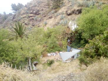 The image depicts a hillside with a small, dilapidated structure, surrounded by trees and bushes, with scattered debris and a white tarp.