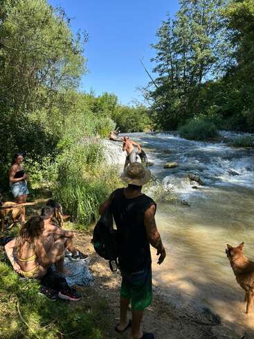 A group of people and two dogs relax by a scenic riverside, enjoying the sunny weather and nature, with lush greenery and flowing water around them.