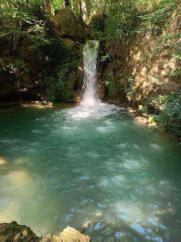 A small waterfall cascades into a tranquil, turquoise pool surrounded by lush green foliage and rocky cliffs, creating a peaceful, natural oasis in the forest.