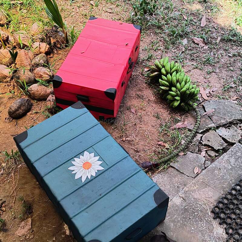 L'image représente deux valises posées sur le sol, entourées d'un bananier, de noix de coco et d'une paire de chaussures, avec un sentier en pierre et une zone herbeuse à l'arrière-plan.