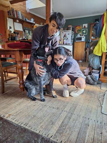 Deux enfants, l'un agenouillé et l'autre debout, câlinent joyeusement un chien noir et blanc à l'intérieur d'une cuisine confortable, chaudement éclairée et dotée de meubles en bois.