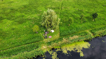 Una vista aérea muestra un camping sereno cerca de la orilla de un río. Tiendas, personas y artículos de picnic se encuentran bajo un gran árbol, rodeados de exuberante hierba verde y naturaleza.