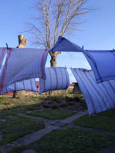 Sábanas y toallas a rayas ondean en un tendedero en un patio trasero. Árboles desnudos y un cielo azul despejado crean una escena al aire libre tranquila y soleada.