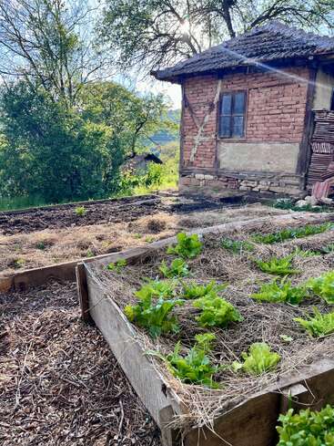 La lumière du soleil filtre à travers les arbres et illumine une maison rustique en briques située à côté d'un potager surélevé, rempli de légumes verts à feuilles et de paille, au cœur d'une nature luxuriante et paisible.