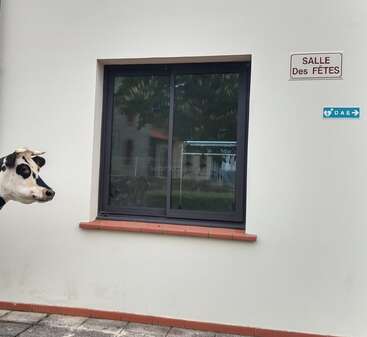 Una cabeza de vaca asoma por la izquierda, junto a una pared blanca con una ventana, y unos carteles en francés que indican «Salle des Fêtes» y «DAE».