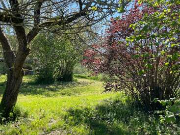 Eine sonnige Gartenszene mit saftig grünem Gras, Bäumen und bunten Sträuchern. Die Schatten sorgen für eine friedliche, einladende Atmosphäre und unterstreichen die Schönheit und Ruhe der Natur.