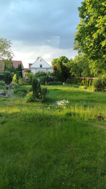 A imagem mostra um quintal sereno com um gramado verde exuberante, flores vibrantes e árvores, com uma casa branca ao fundo em um dia ensolarado.