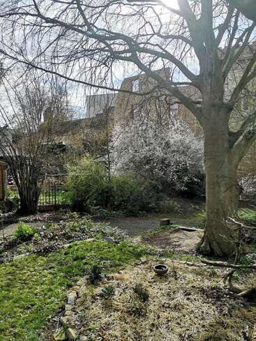 A imagem mostra um jardim sereno com uma grande árvore, flores vibrantes e um prédio de pedra ao fundo, banhado por luz natural.