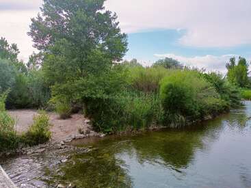 The image depicts a serene riverbank with lush greenery, featuring trees, bushes, and grasses, set against a cloudy sky with a glimpse of blue.