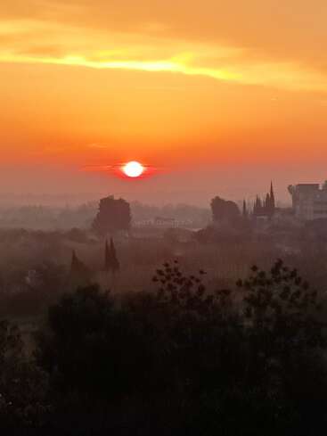 The image depicts a serene sunset over a cityscape, with trees and buildings silhouetted against a vibrant orange sky, evoking a sense of peacefulness.