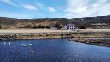 Uma cena rural tranquila mostra um lago azul sereno com vários cisnes, uma casa branca, árvores esparsas, colinas marrons onduladas e um céu parcialmente nublado.