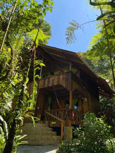 A rustic wooden cabin nestled in lush green jungle foliage, featuring a hammock on the porch, stone steps, and surrounded by vibrant natural sunlight under clear blue sky.
