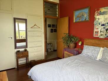 This cozy bedroom features a red accent wall, bed with patterned pillows, wooden furniture, indoor plant, wall art, mirror, and ample natural light through windows.