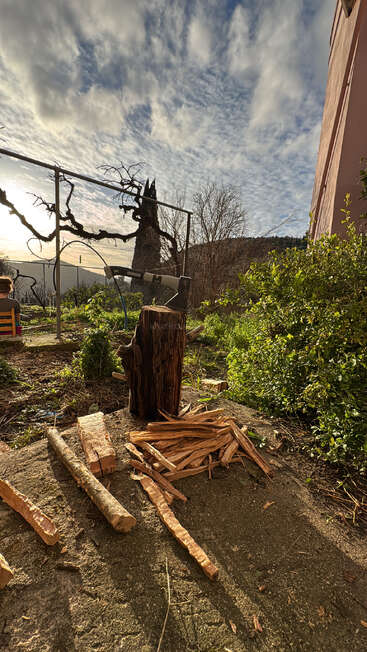 A serene outdoor scene at sunset shows a chopping block with an axe, split wood, scattered branches, lush greenery, and a seated person in the background.