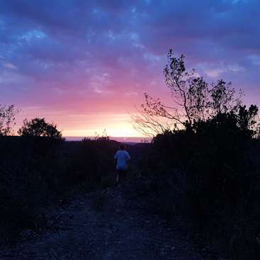 L'image représente une scène sereine de coucher de soleil, avec une personne marchant sur un chemin de terre entouré d'arbres et de buissons, sur fond de ciel rose et violet éclatant.