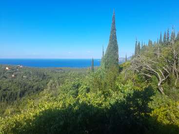 A lush, green forest stretches toward the calm blue sea under a clear sky. Tall cypress trees stand prominently with distant houses scattered around.