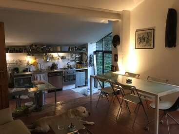 Une cuisine et une salle à manger douillettes et modernes avec une table en verre, des chaises blanches, des œuvres d'art sur les murs, un éclairage chaleureux, de grandes fenêtres et un chien qui se détend sur le sol.