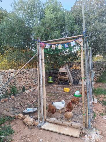 La imagen muestra un gallinero rústico con un recinto de alambre. Dentro hay varias gallinas. Coloridos banderines cuelgan sobre la entrada de madera. Árboles y muros de piedra alrededor.