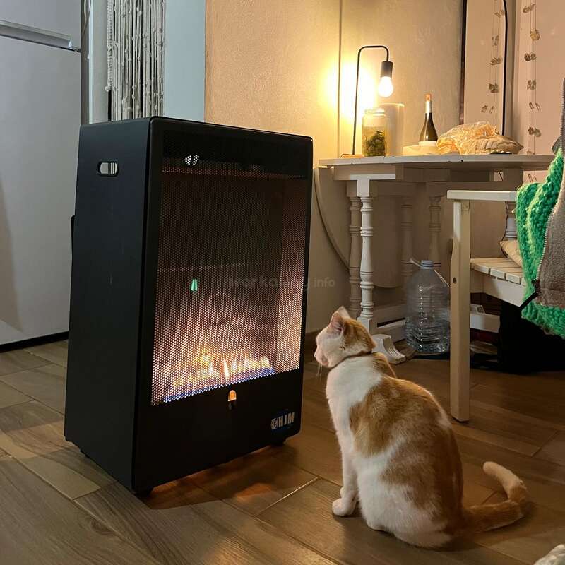 Un gato blanco y naranja está sentado en un suelo de madera, mirando atentamente un calefactor negro. La acogedora habitación cuenta con una mesa, una lámpara y objetos domésticos.