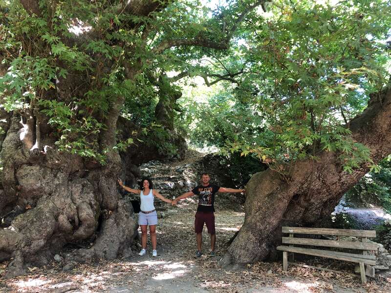 A imagem mostra um homem e uma mulher em pé entre duas árvores grandes, com os braços estendidos, em uma área arborizada com um banco à direita.