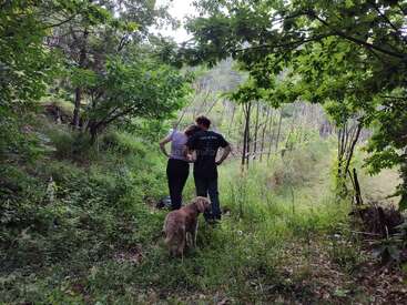 Zwei Leute stehen eng beieinander auf einer üppig grünen Waldlichtung und schauen in die Ferne. Ein Hund steht in der Nähe und genießt die natürliche, friedliche Umgebung.