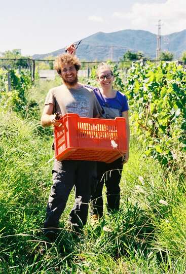 Ein lächelnder Mann und eine lächelnde Frau stehen in einem sonnigen Weinberg und halten zusammen eine große orangefarbene Kiste. Im Hintergrund sieht man grüne Weinreben und Berge.