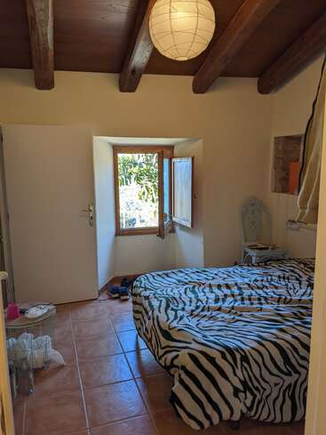 La imagen muestra un acogedor dormitorio con una colcha con estampado de cebra, paredes blancas y una ventana con vistas a la exuberante vegetación del exterior.