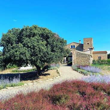 La imagen representa una serena casa de piedra con un árbol prominente y flores vibrantes en primer plano, sobre un cielo azul despejado.
