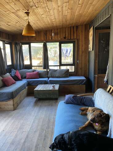 Un acogedor salón de madera con grandes ventanales, dos perros descansando en un sofá azul, cojines grises y rojos, una mesa de centro y luz natural.
