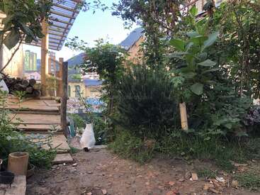 Eine weiße Katze sitzt friedlich in einem üppigen, grünen Garten in der Nähe einer rustikalen Holzrampe. Im Hintergrund sind bunte Gebäude und Berge zu sehen.