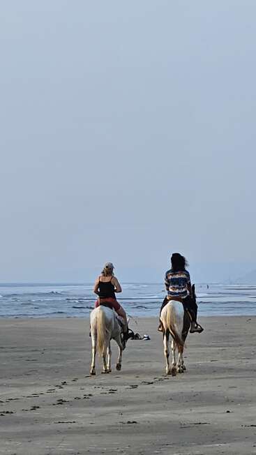 Deux personnes montent à cheval sur une plage vide et sereine. Les vagues de l'océan s'écrasent doucement tout près d'eux, et leurs empreintes de pas traînent derrière eux dans le sable doux.