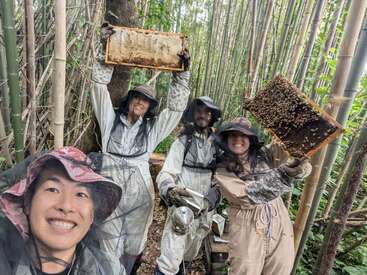 Four people in protective beekeeping suits stand in a bamboo forest, smiling and holding honeycomb frames filled with bees and honey, celebrating their harvest.