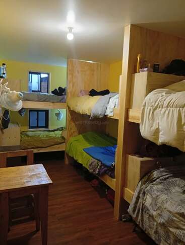 Cette photo montre une chambre commune chaleureuse, équipée de lits superposés en bois, d'une literie colorée, de murs jaunes, d'un parquet, de deux fenêtres, d'un bureau et d'un éclairage sobre.