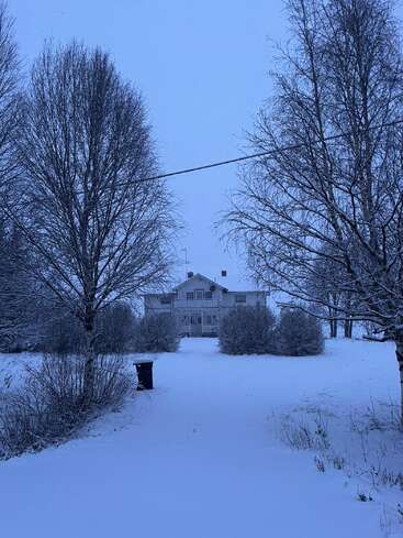 A house stands in the distance, surrounded by leafless trees and bushes. Snow blankets the ground, creating a serene, quiet winter landscape at twilight.