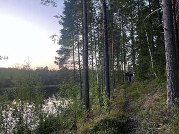 Tall pine trees line a narrow woodland path next to a serene lake at sunset. A small red cabin nestles quietly among the greenery, creating tranquility.