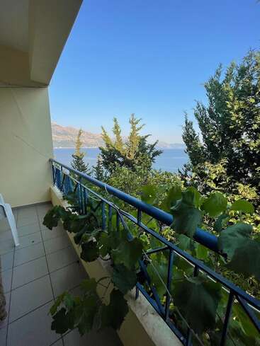 The image depicts a serene balcony scene with a blue railing, surrounded by lush greenery and overlooking a tranquil body of water under a clear blue sky.