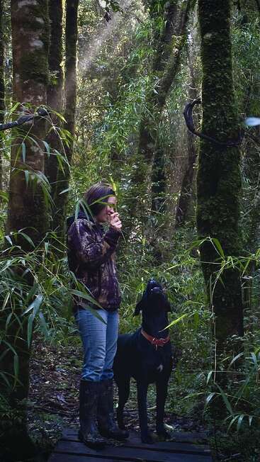 Une femme se tient dans une forêt luxuriante et verdoyante avec un chien noir. Les rayons du soleil filtrent à travers les arbres. Elle porte des bottes et une veste camouflage, explorant paisiblement la nature.