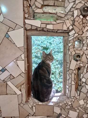Un chat tabby est assis sur un rebord de fenêtre en mosaïque et regarde en arrière. Un feuillage vibrant remplit la vue à l'extérieur, contrastant avec la décoration artistique unique de l'intérieur. Atmosphère paisible.