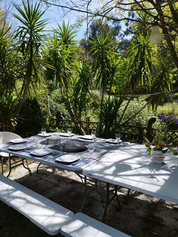 Uma mesa ao ar livre posta para seis pessoas, com pratos e copos brancos, rodeada por uma vegetação exuberante e palmeiras; a luz do sol que penetra entre as folhas cria belas sombras no cenário.