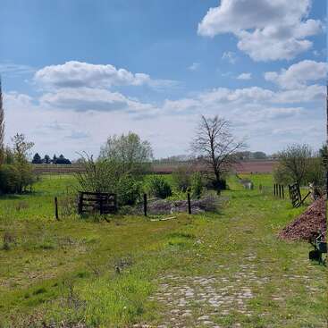L'image représente un paysage rural serein composé d'un champ herbeux, d'un sentier en pierre et d'une clôture en bois, le tout sur fond de ciel bleu avec des nuages blancs.