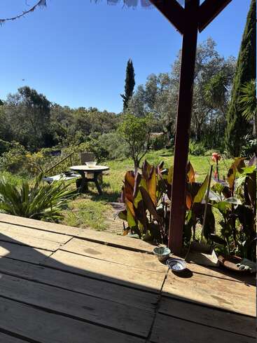Porche de madera bañado por el sol con vistas a un frondoso jardín verde lleno de plantas y árboles. Una mesa redonda con sillas descansa plácidamente bajo el cielo azul brillante.