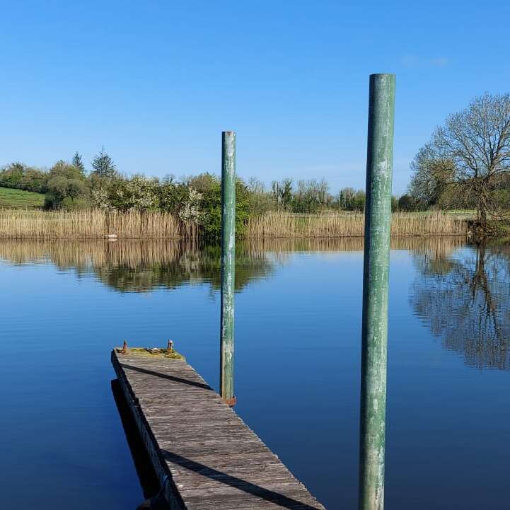 Das Bild zeigt eine ruhige Seeszene mit einem verwitterten Holzsteg, der ins Wasser ragt, mit zwei grünen Pfählen und einem grasbewachsenen Ufer mit Bäumen im Hintergrund.