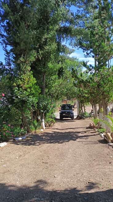 Eine unbefestigte Straße, gesäumt von grünen Bäumen und bunten Blumen, zieht sich in die Ferne, wo ein schwarzer SUV steht, umgeben von hellem Sonnenlicht und Natur.