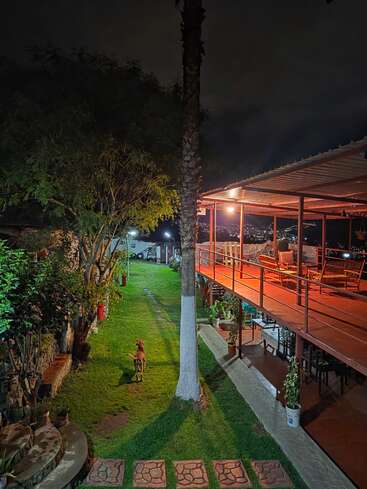 Um pátio aconchegante à noite com luzes quentes, um cachorro parado no gramado, vegetação exuberante, mesas ao ar livre e as luzes da cidade visíveis à distância.