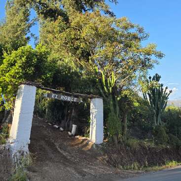 Una entrada rústica con pilares blancos y un letrero de madera que dice «El Roble» conduce a una zona boscosa exuberante y verde, rodeada de árboles y cactus.