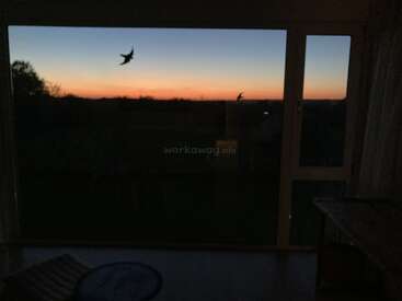 Through a large window, two birds fly against a beautiful sunset sky. Silhouettes of trees and distant hills create a peaceful, serene evening scene indoors.