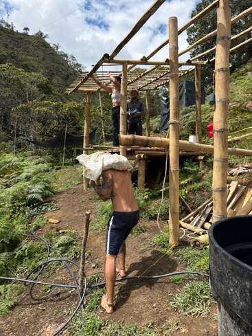 Trois personnes travaillent à l'extérieur pour construire un abri en bambou dans une région montagneuse verdoyante et luxuriante. L'une d'elles porte un sac lourd, tandis que les deux autres assemblent le toit.